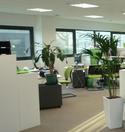 bureaux vgtaliss Arbres et Jardins Services